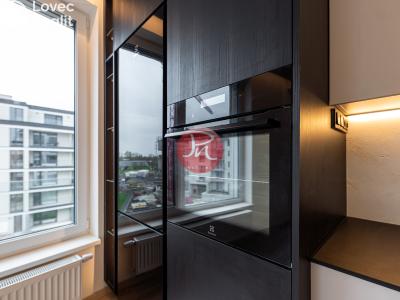 Pronájem bytu 4+KK Ostrava, F. X. Riepla č. 6