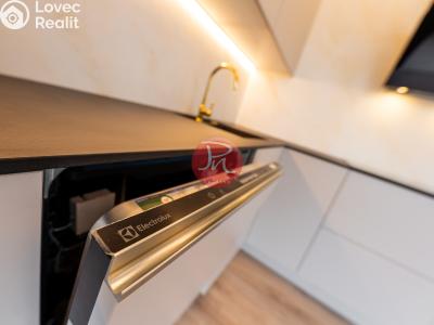 Оренда квартири 4+KK Ostrava, F. X. Riepla č. 3