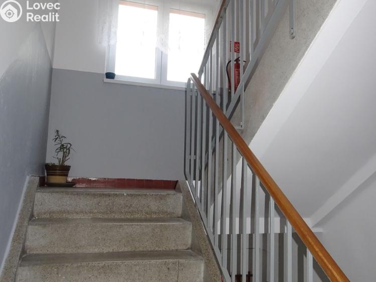 Prodej bytu 2+1 Kostelec nad Orlicí, Seifertova č. 17