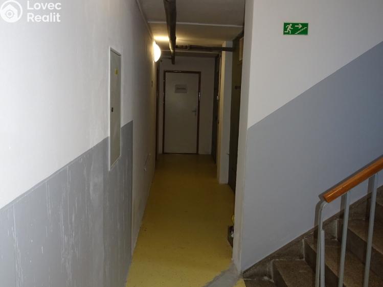 Prodej bytu 2+1 Kostelec nad Orlicí, Seifertova č. 19