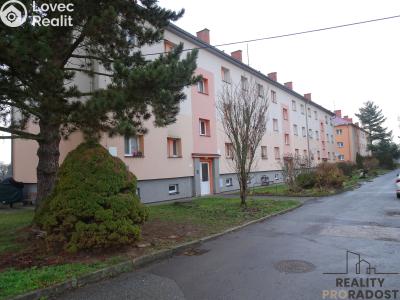 Prodej bytu 2+1 Kostelec nad Orlicí, Seifertova č. 1