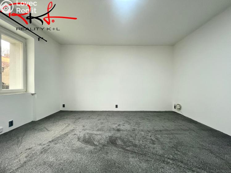 Pronájem bytu 2+1 Mladá Boleslav, Luční č. 10