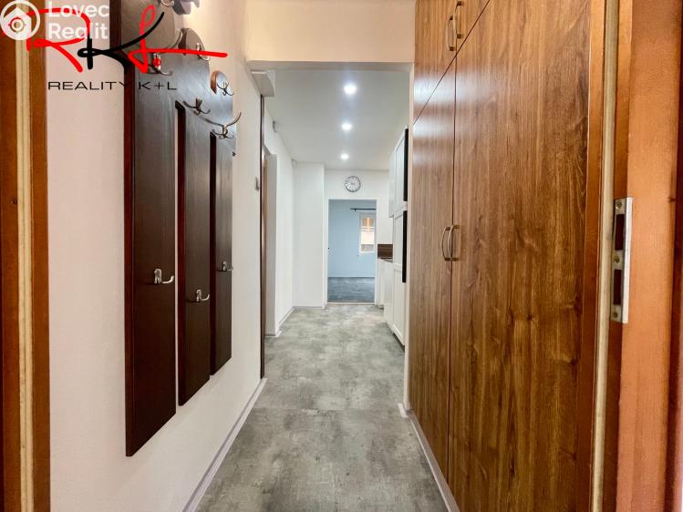 Pronájem bytu 2+1 Mladá Boleslav, Luční č. 13