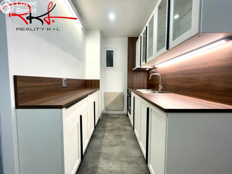 Pronájem bytu 2+1 Mladá Boleslav, Luční č. 1