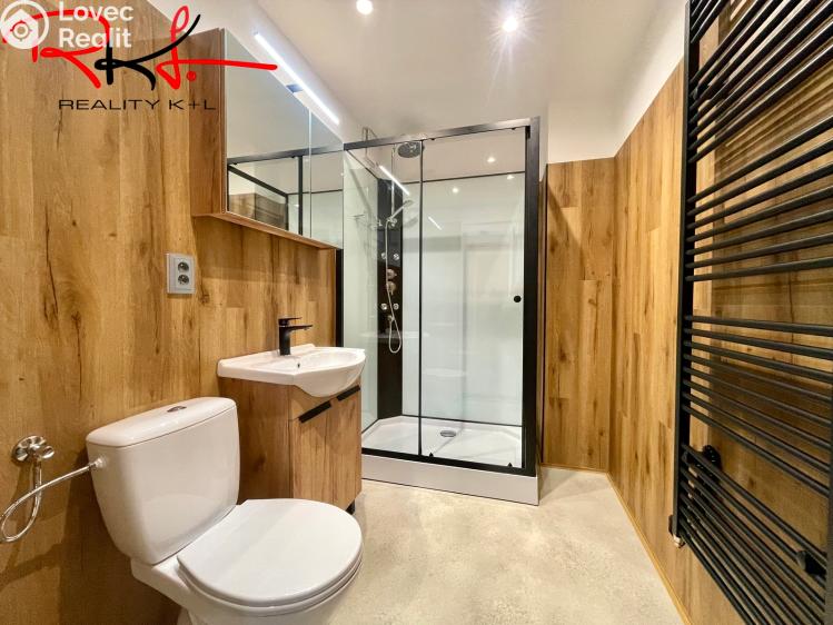 Pronájem bytu 2+1 Mladá Boleslav, Luční č. 3