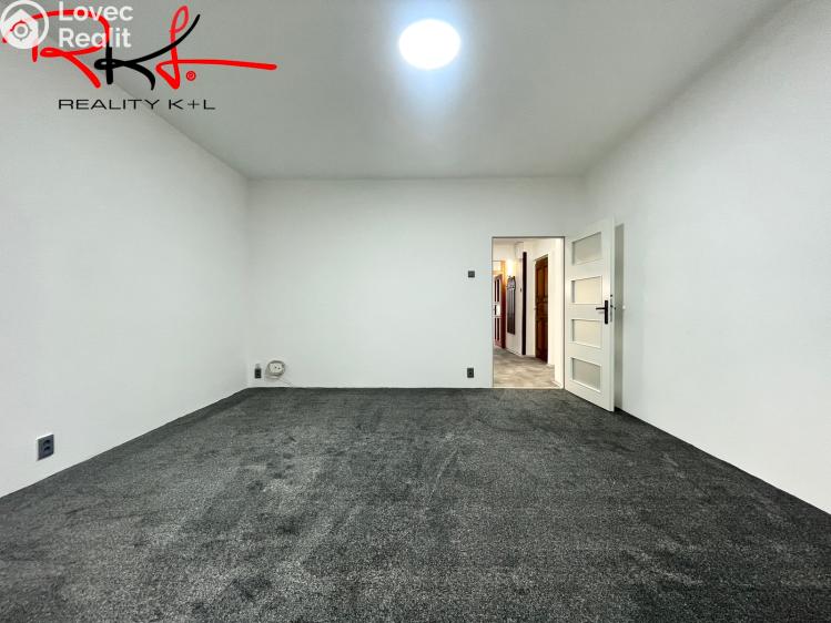 Pronájem bytu 2+1 Mladá Boleslav, Luční č. 11