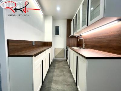 Pronájem bytu 2+1 Mladá Boleslav, Luční č. 1