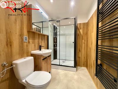 Pronájem bytu 2+1 Mladá Boleslav, Luční č. 3