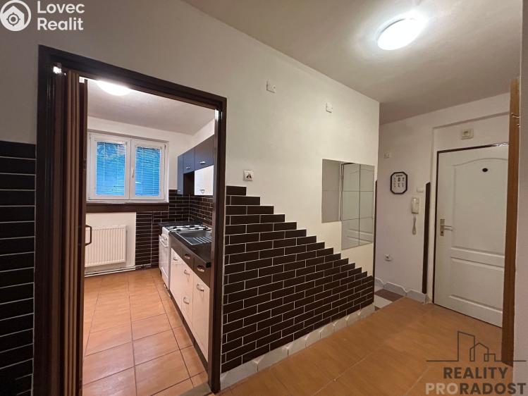 Pronájem bytu 2+1 Dubňany, Palackého č. 8