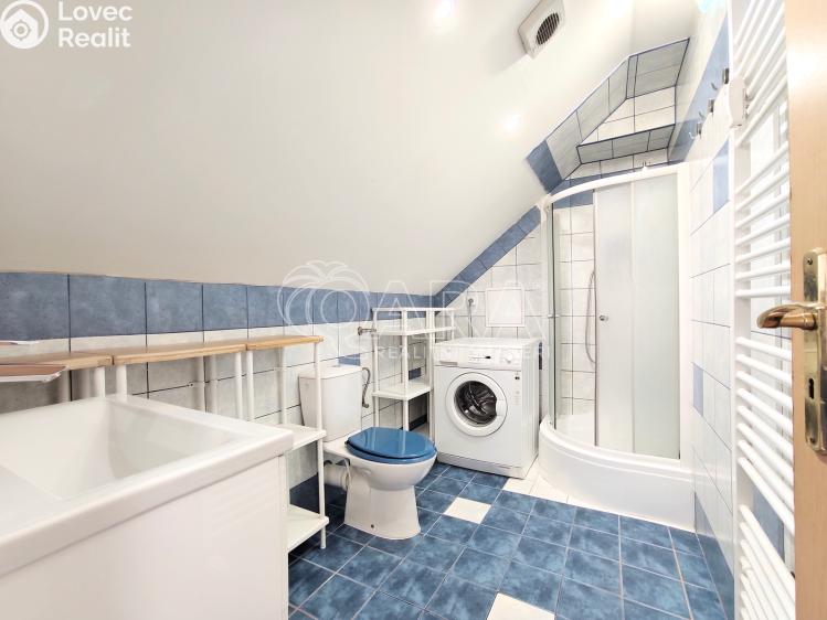 Pronájem bytu 2+1 Praha, Hanusova 826/29 č. 13