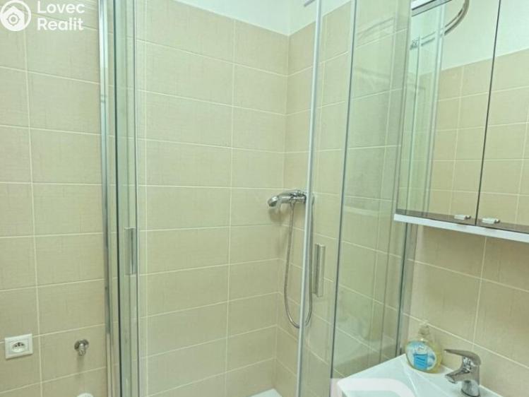 Pronájem bytu 2+1 Praha, U krbu č. 8