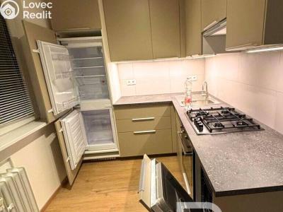 Pronájem bytu 2+1 Praha, U krbu č. 1