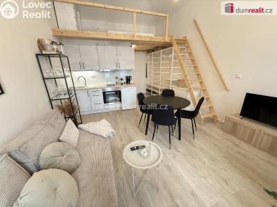 Rent apartment 1+KK Praha 5, Na Valentince č. 1