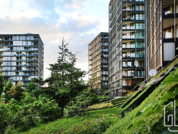 Pronájem bytu 3+KK Praha, Pitterova 2855/7 č. 11