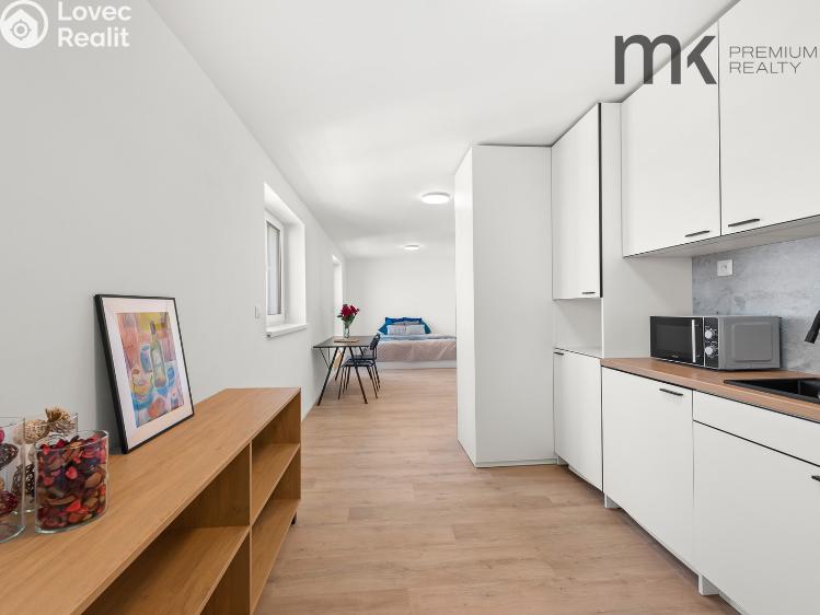 Rent apartment 1+KK Praha, Na bitevní pláni 1185/40 č. 3