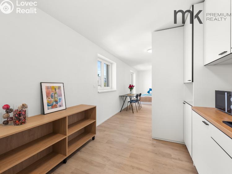 Rent apartment 1+KK Praha, Na bitevní pláni 1185/40 č. 24