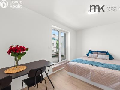 Rent apartment 1+KK Praha, Na bitevní pláni č. 1