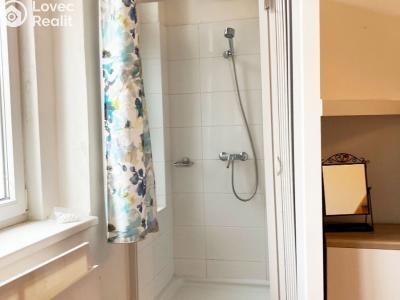 Rent apartment 1+KK Praha, 28. pluku č. 2