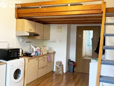 Rent apartment 1+KK Praha, 28. pluku č. 4