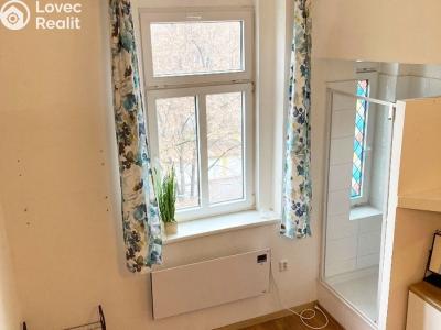 Rent apartment 1+KK Praha, 28. pluku č. 6