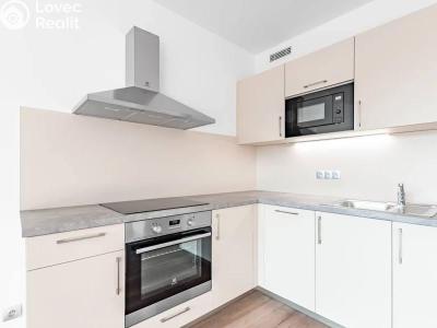 Rent apartment 1+KK Praha, Ocelářská č. 1