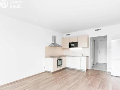 Rent apartment 1+KK Praha, Ocelářská č. 2