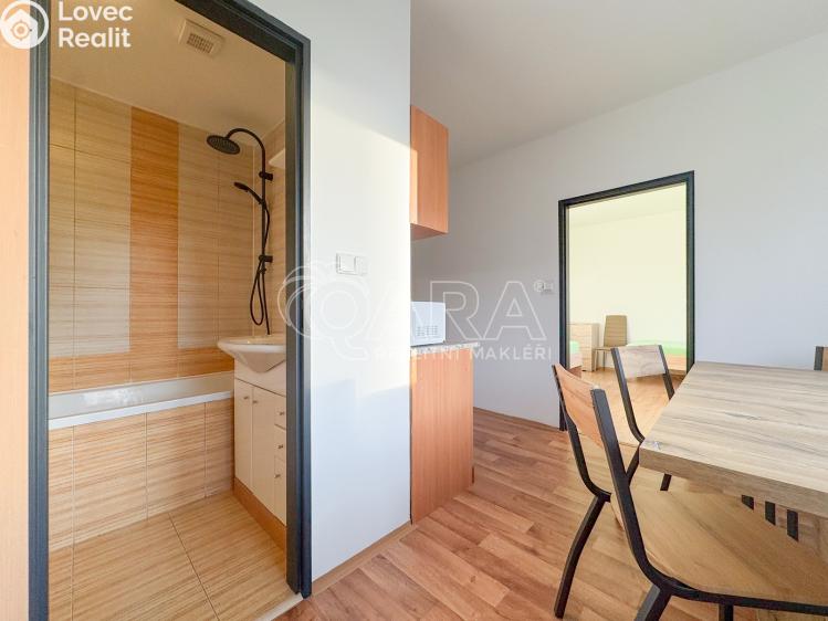 Pronájem bytu 3+1 České Budějovice, J. Opletala 833/53 č. 8