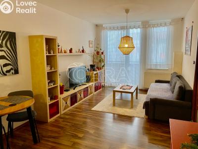 Pronájem bytu 2+KK Praha, Terezínská č. 5