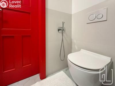 Pronájem bytu 2+KK Brno č. 6