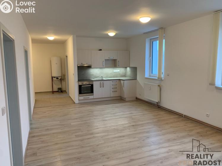 Pronájem bytu 3+KK Ledenice, Náměstí č. 1