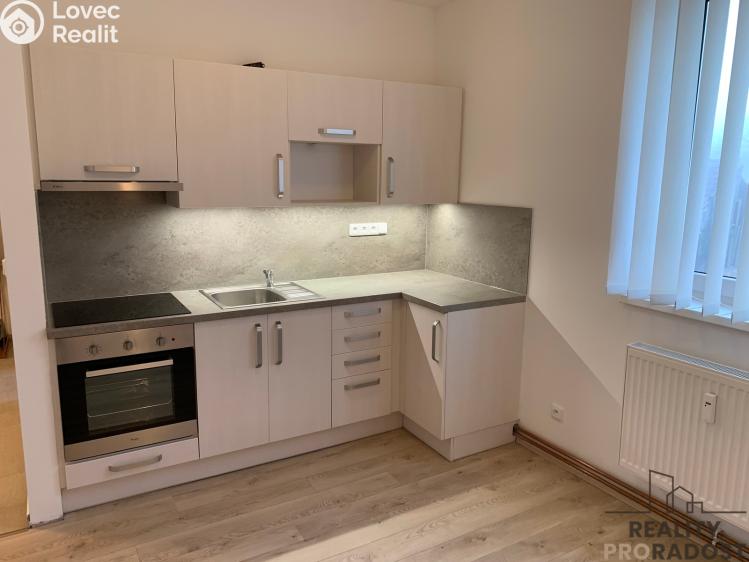 Pronájem bytu 3+KK Ledenice, Náměstí č. 2
