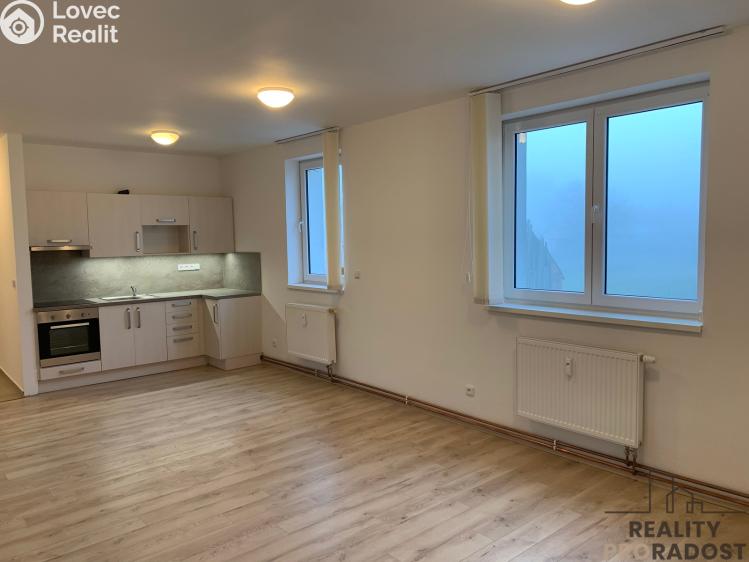 Pronájem bytu 3+KK Ledenice, Náměstí č. 4