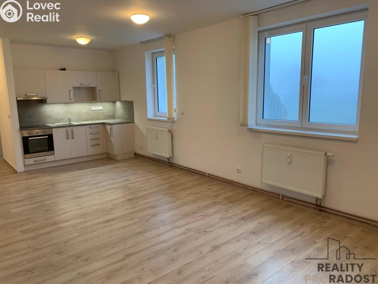 Pronájem bytu 3+KK Ledenice, Náměstí č. 5