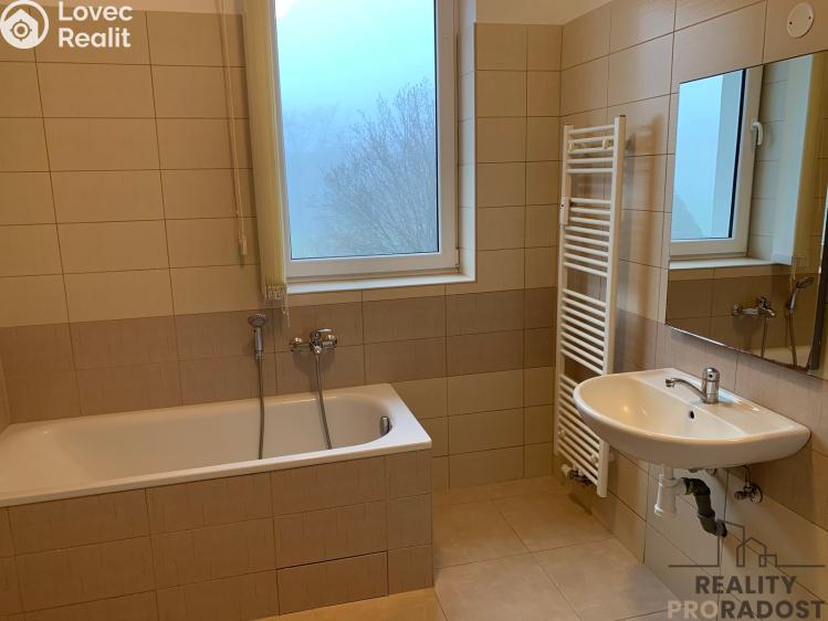 Pronájem bytu 3+KK Ledenice, Náměstí č. 15