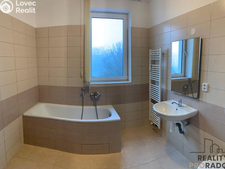 Pronájem bytu 3+KK Ledenice, Náměstí č. 16