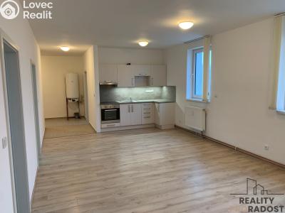 Pronájem bytu 3+KK Ledenice, Náměstí č. 1