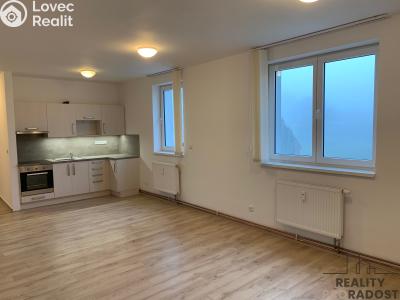 Pronájem bytu 3+KK Ledenice, Náměstí č. 4
