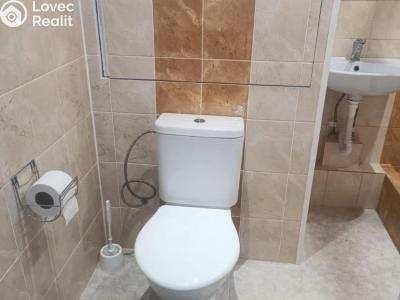 Оренда квартири 1+KK Praha, Levského č. 5