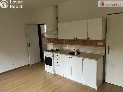 Pronájem bytu 1+KK Branky č. 4