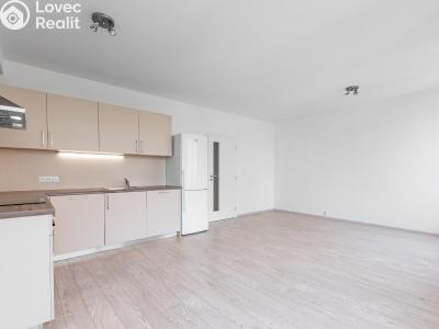 Оренда квартири 1+KK Praha, Sokolovská č. 3