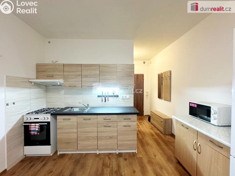 Pronájem bytu 1+1 Děčín, Jezdecká č. 1