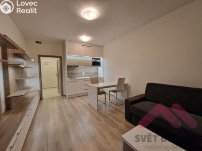 Оренда квартири 1+KK Praha, Novgorodská č. 1