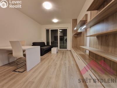 Оренда квартири 1+KK Praha, Novgorodská č. 2