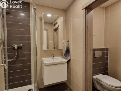 Оренда квартири 1+KK Praha, Novgorodská č. 4