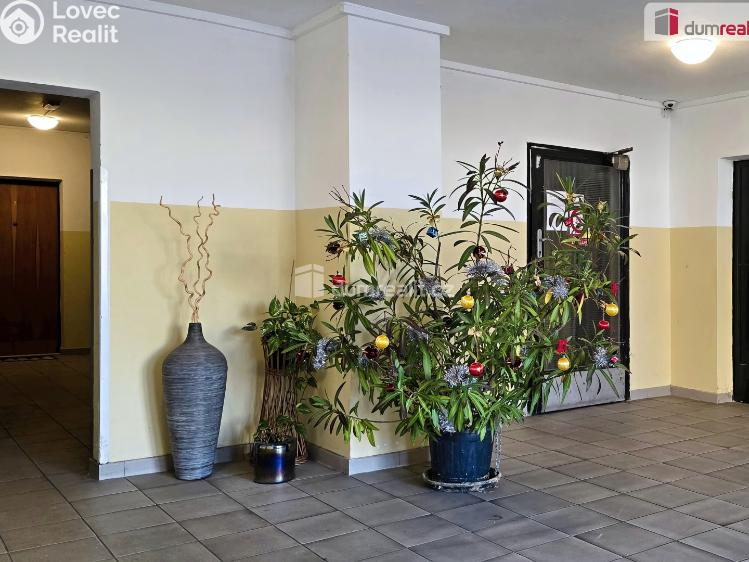 Продаж квартири 2+1 Neratovice, Kojetická č. 15