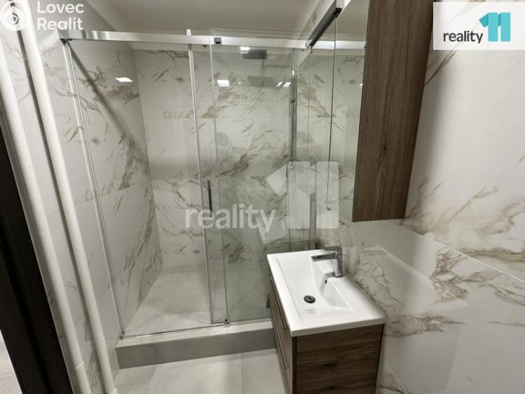 Pronájem bytu 2+1 Česká Lípa, Kozákova č. 1