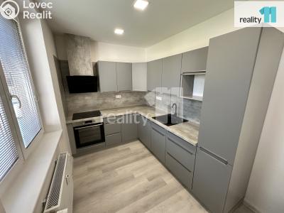 Pronájem bytu 2+1 Česká Lípa, Kozákova č. 2