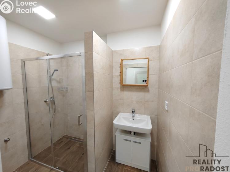 Pronájem bytu 1+1 Hodonín, Patočkova č. 3