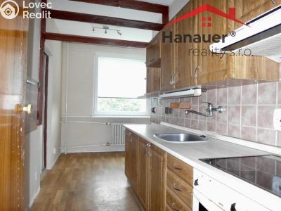 Аренда квартиры 3+1 Ústí nad Labem, U Pivovarské zahrady č. 2