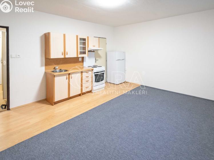 Pronájem bytu 1+KK Mělník, Čechova 432/12 č. 5